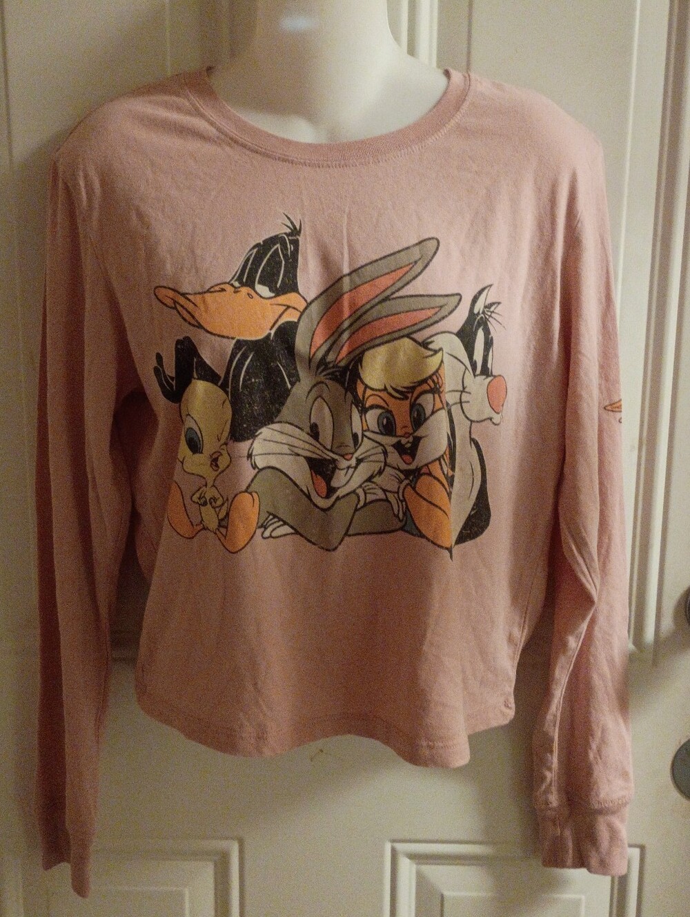 Looney Tunes X Love Tribe Pink Cartoon Long Sleeve Tee Medium
